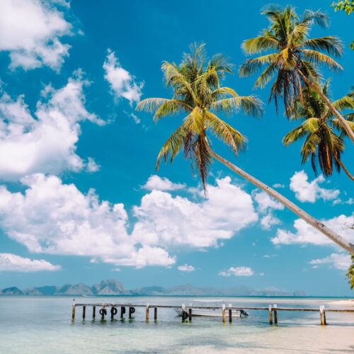 Caribbean Bliss